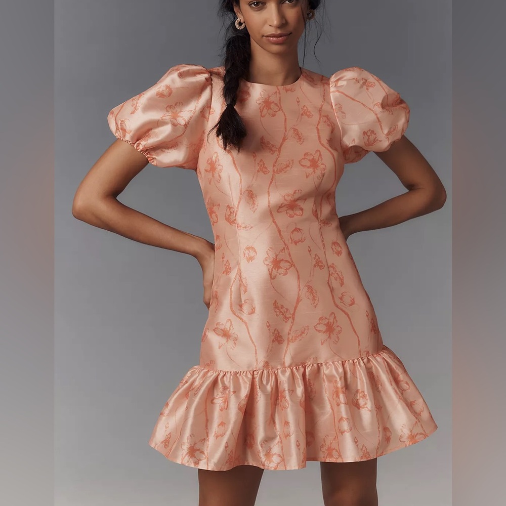 $228 NWOT Hutch “Rayan” Floral Mini Dress in Peach Sz 4